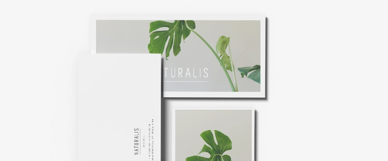 Business stationery printing - Denote Print